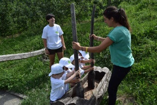 Los niños de colonias 2015